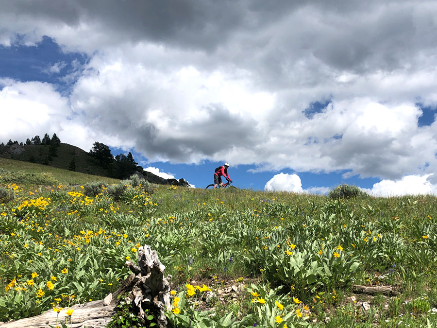 Mom looking great on Josie's Ridge - Wyoming mountain biking