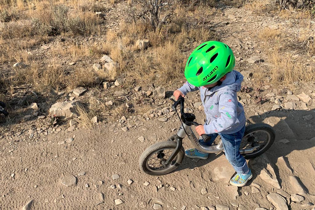 Prevelo Alpha Zero｜12 Balance Bike｜1½ years+｜No Pedals