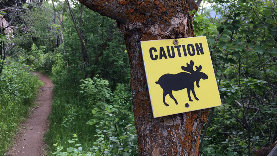 Young riders who display good trail etiquette grow up to be adults who exercise proper trail etiquette