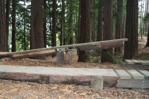 Dodzy Skills Park - see saw