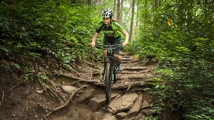 forest mountain biking