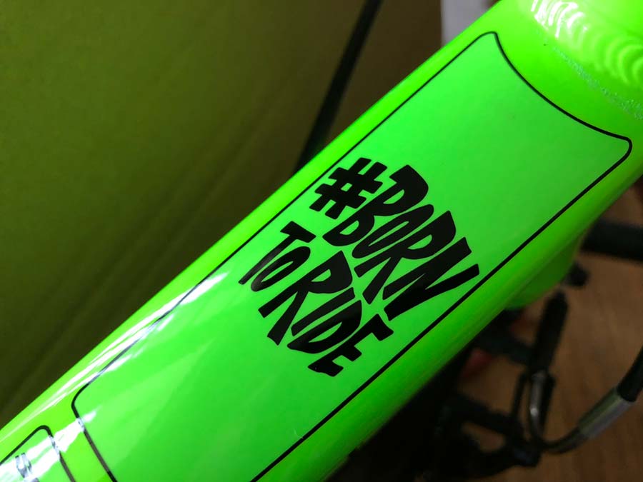 Born To Ride - Spawn Yoji 14