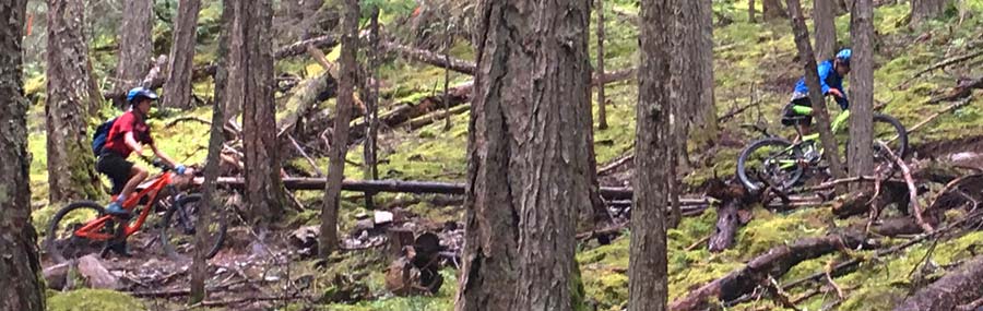 The kids head up one of their favorite cross country trails in Whistler