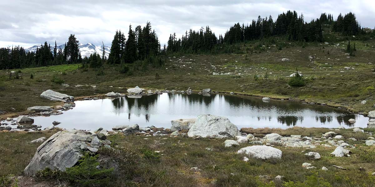 Pond on the Whistler's Into The Mystic Trail