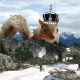 Lord Of The Squirrels - Whistler family mountain bike ride