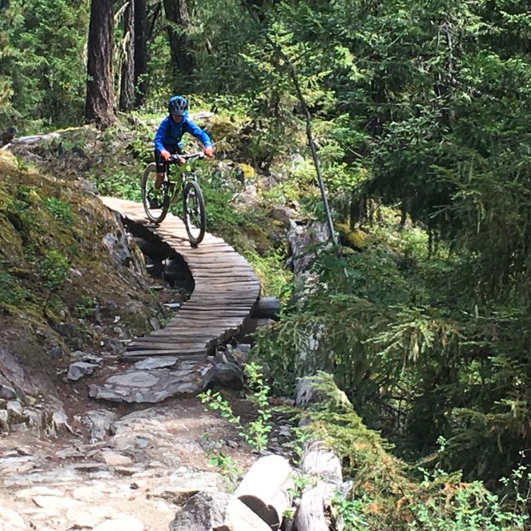 beginner mtb trails