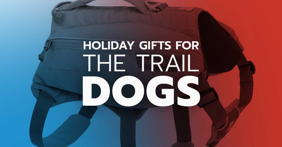 Best gifts for trail dogs