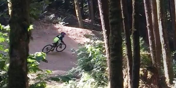 Cruising through the trees at Coast Gravity Park