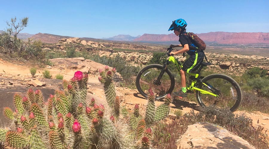 Climbing the Zen Trail in St. George, Utah