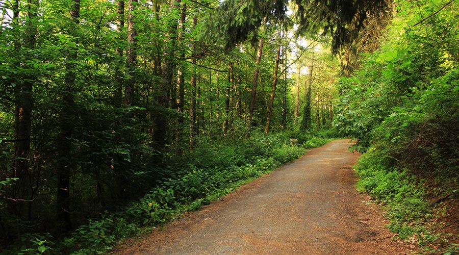 Palouse to Cascades Trail