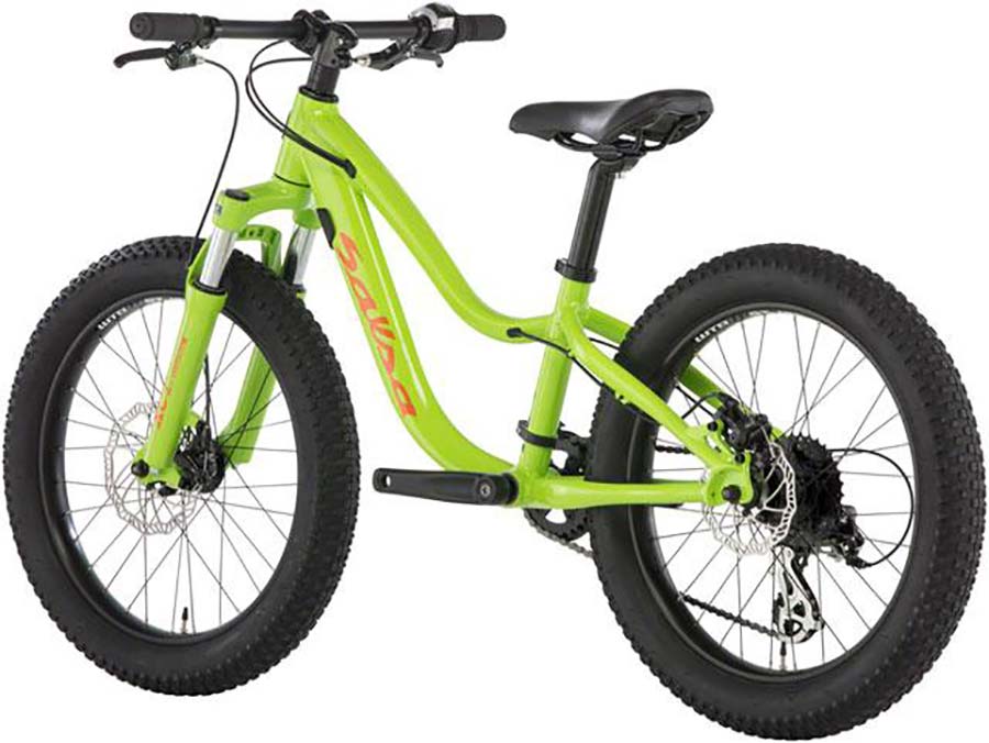 Salsa Timberjack Suspension 20 Kids Mountain Bike Mountain