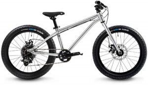 20-inch kids bike early rider