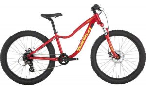 24-inch wheel mountain bike salsa timberjack for kids