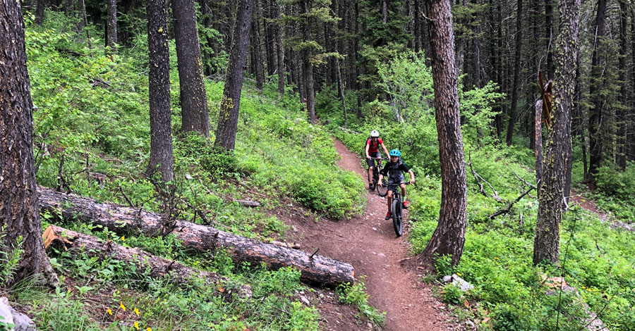 Mountain biking with kids in Jackson Hole, Wyoming