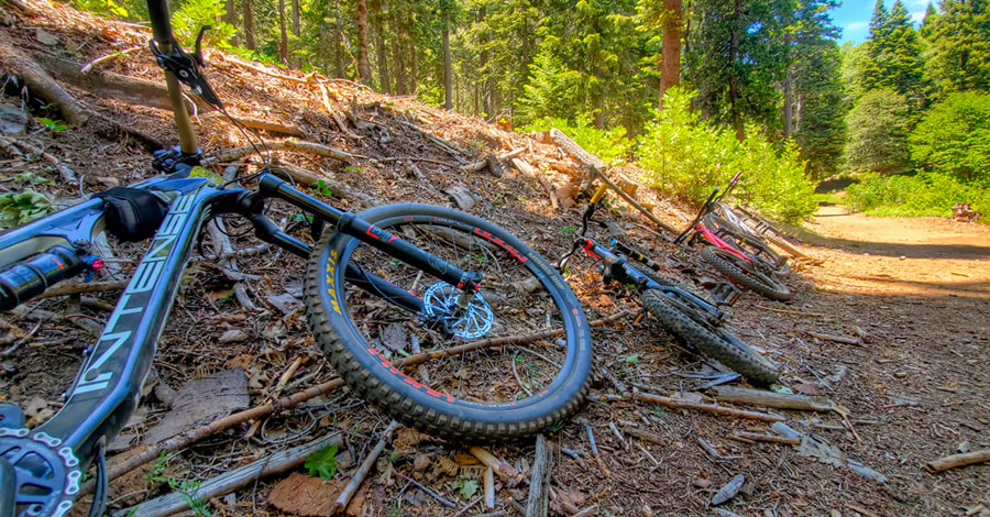 Some of the Rheuben family's bikes