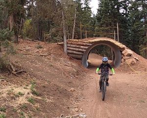 Beginner mountain bike trail - Woodward Park City