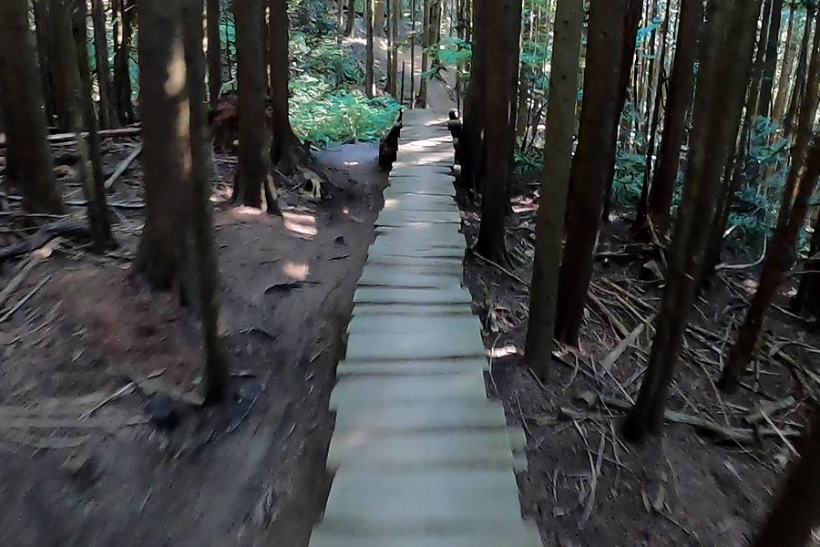 Point-of-view screen grab of the elevated bridge on Galbraith's Evo trail.