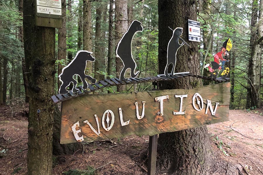 The Evolution sign on Galbraith Mountain