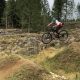 The best mountain biking trails for families and kids in Bellingham