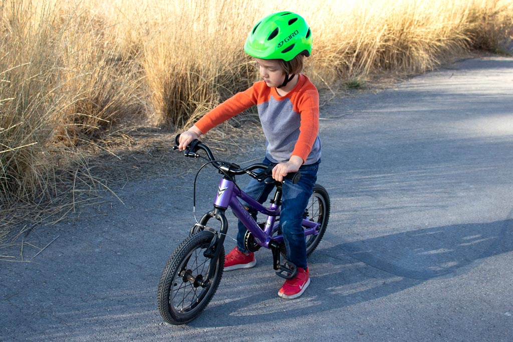 Inspecting the Prevelo Alpha One