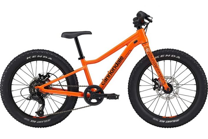 Best 20 inch Mountain Bikes For Kids MTB With Kids